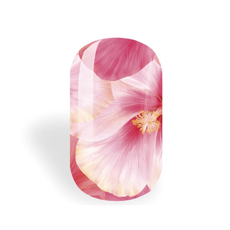 Happy Hibiscus