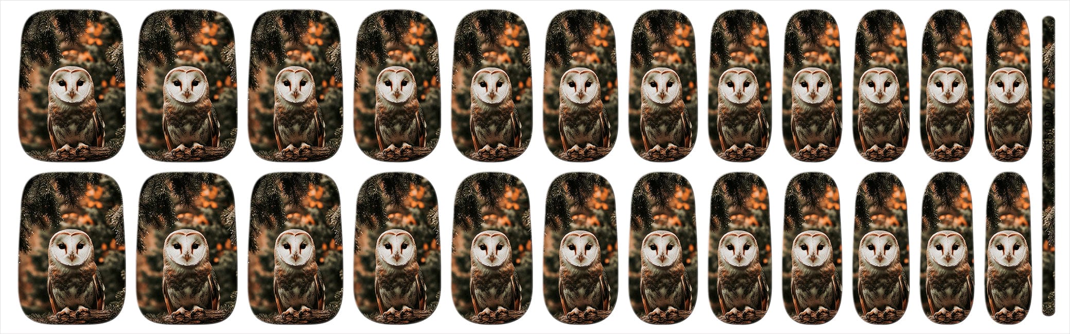 Whoooo’s Ready For Winter?