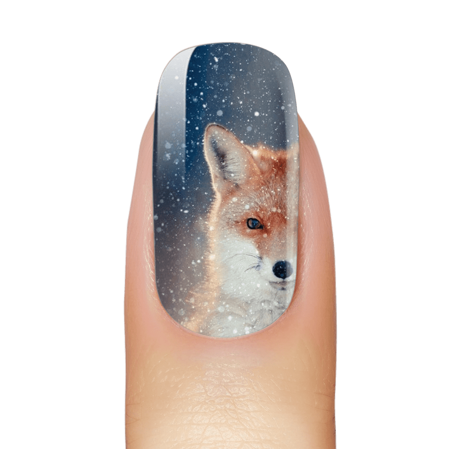 Snow Fox Winter