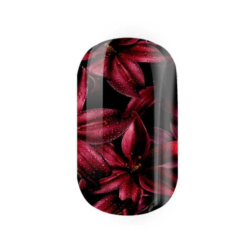 Deep Wine Blooms