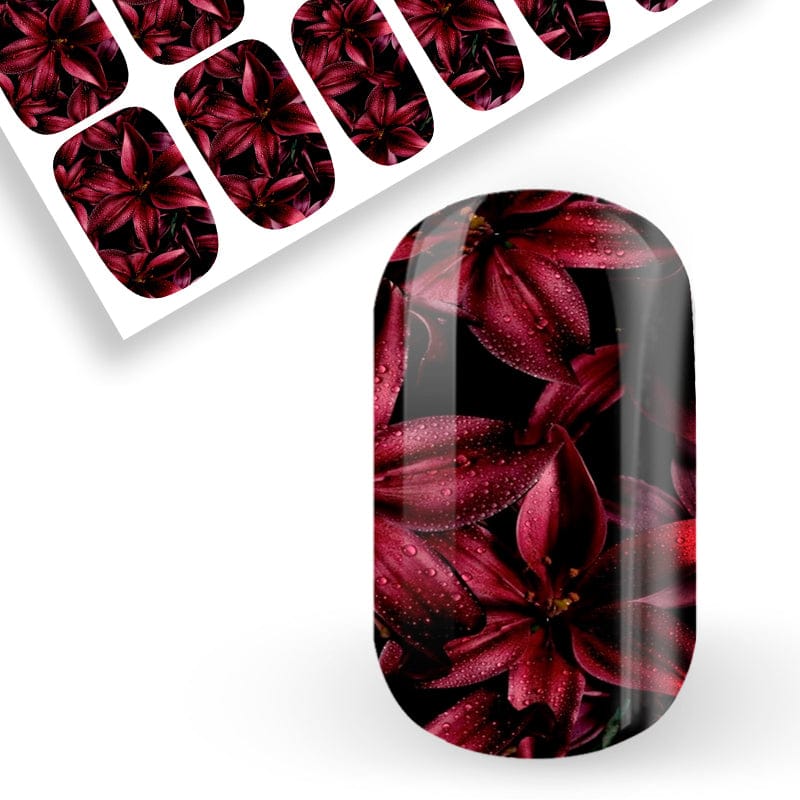 Deep Wine Blooms