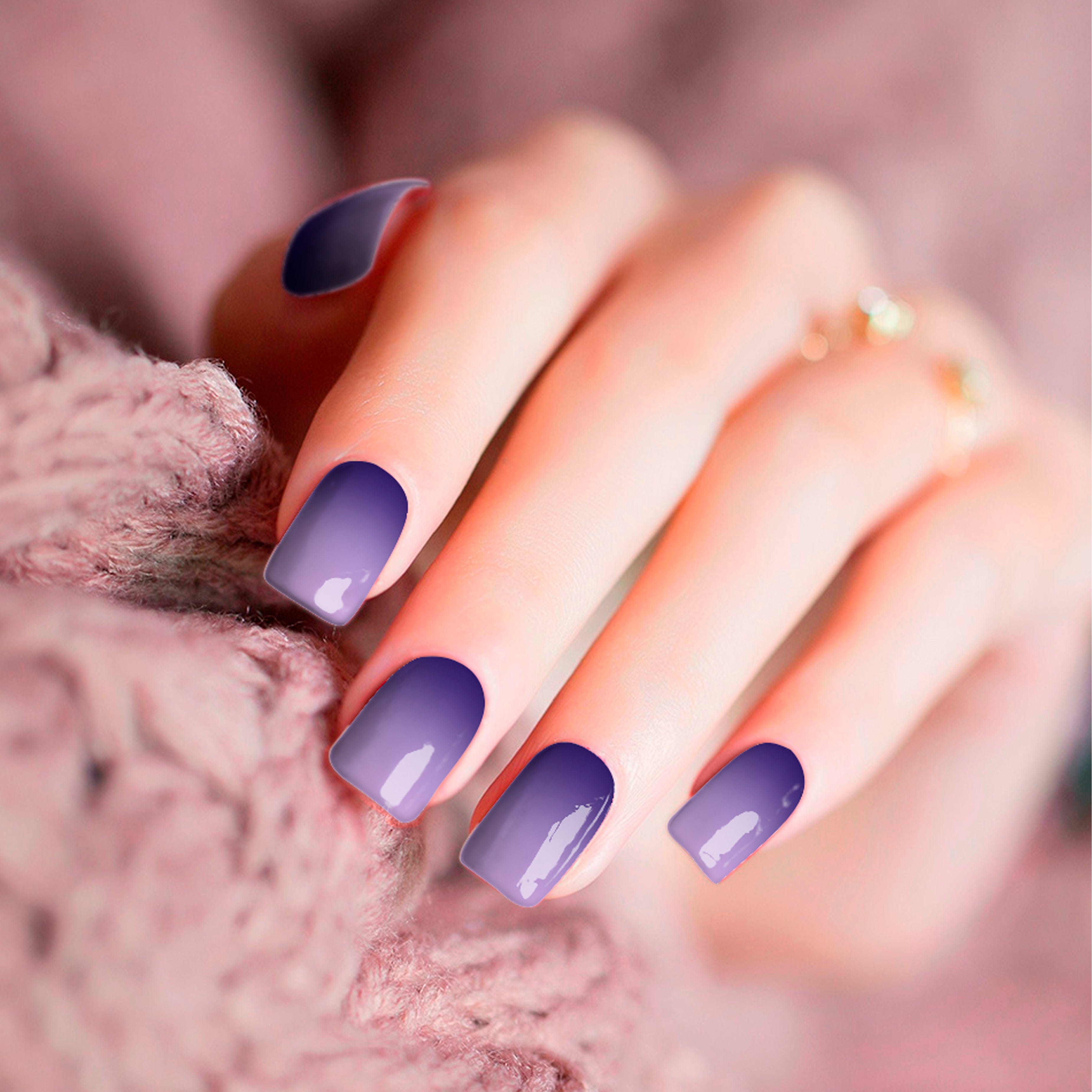 Wisteria Ombré