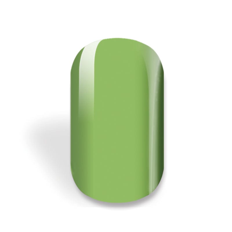 NEW: Avocado Green