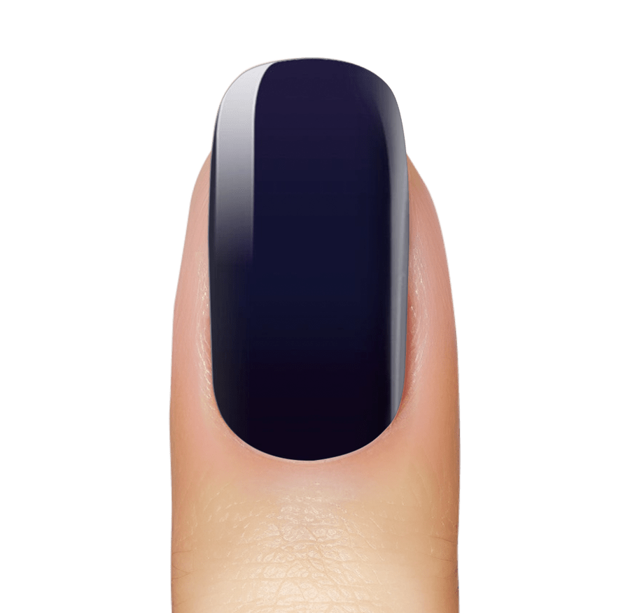 NEW: Blackberry Ombré