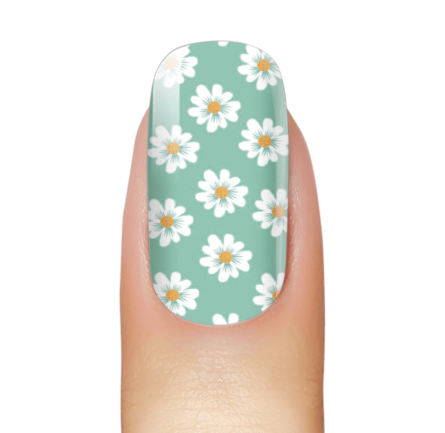 Daisy Bunch