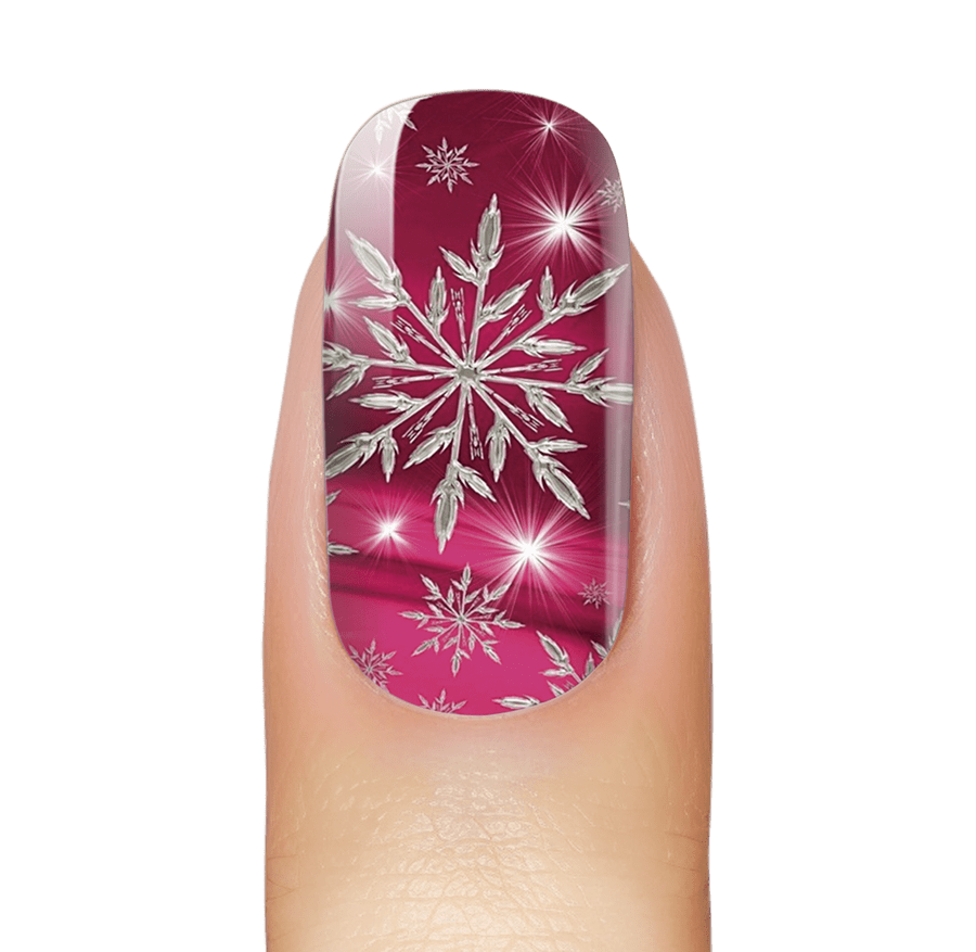 NEU: Fuchsia Holiday