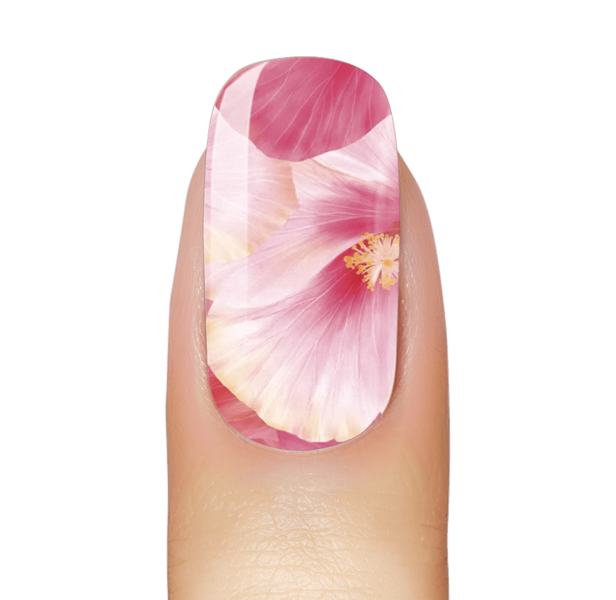 Happy Hibiscus
