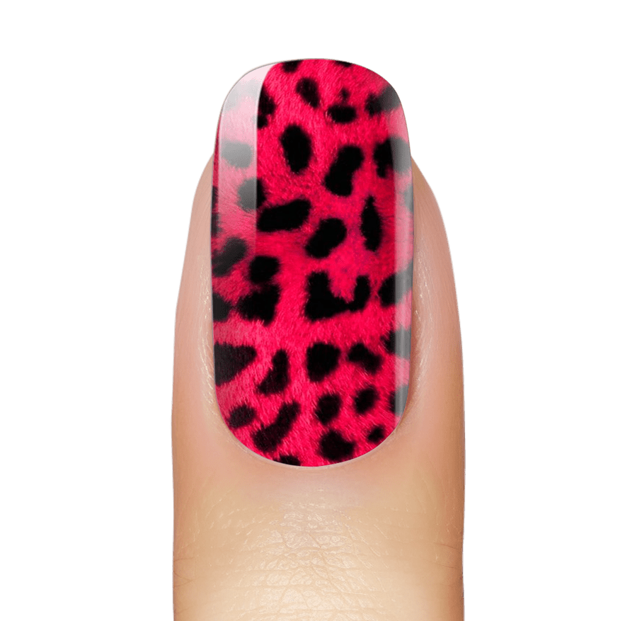 NEW: Hot Pink Cheetah