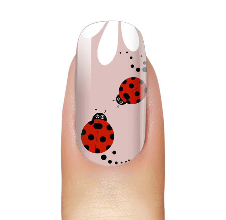 NEW: Ladybug Love