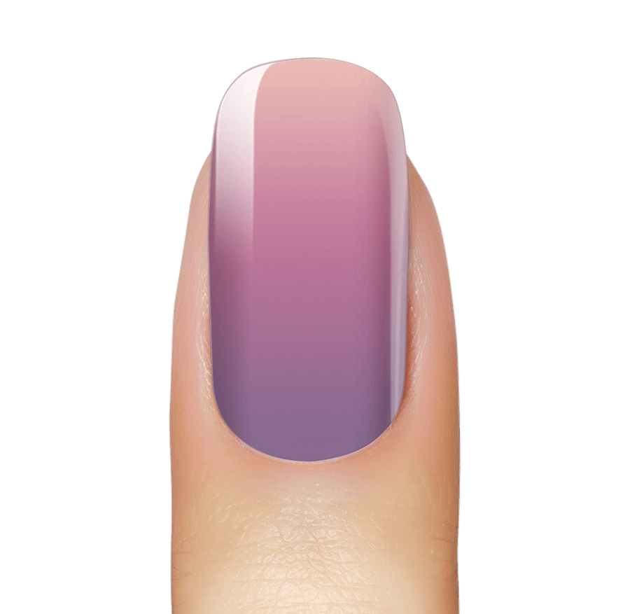 NEW: Lavender Creamsicle Ombré