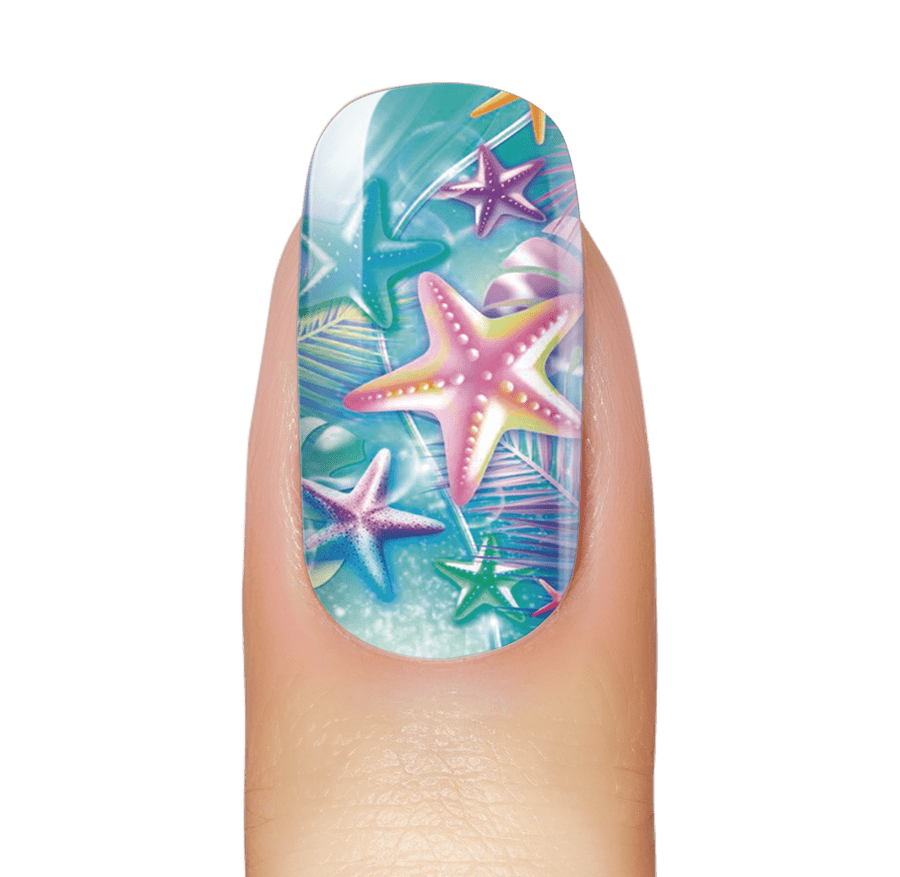 Stars And Palms