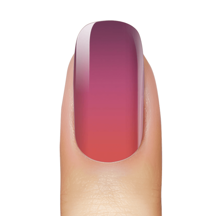 NEW: Sugar Fig Ombré