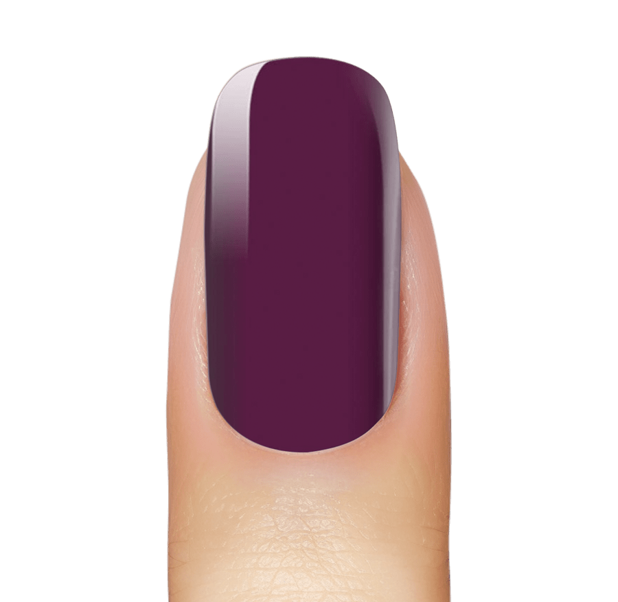 NEW: Vineyard Purple