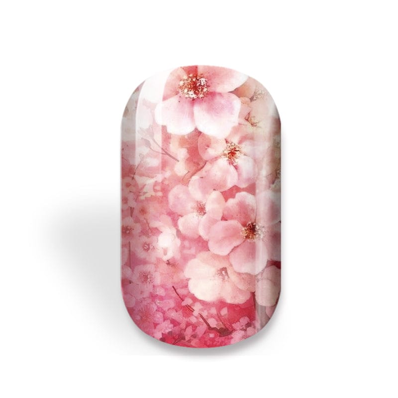 NEW: Ombré Blossoms