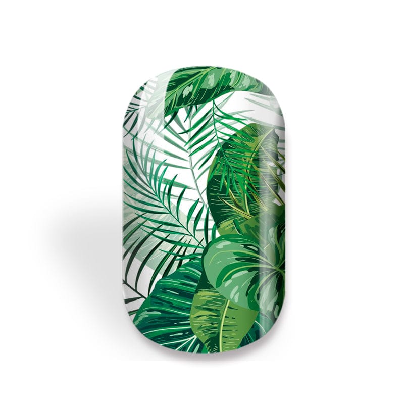 NEW: Holiday Palms