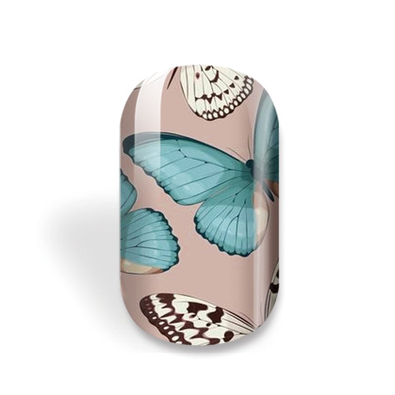 NEW: Desert Butterflies