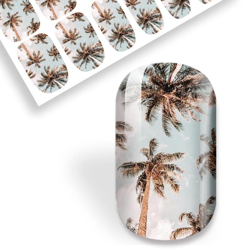 NEW: Sunnies And Palms